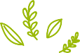 slider icon1